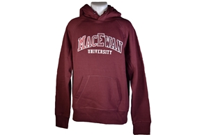 harvard law school hoodie